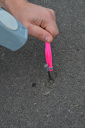 3D-Markierung Tiger-Mark - PINK 100 Stück